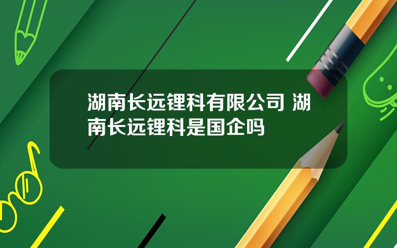 湖南长远锂科有限公司 湖南长远锂科是国企吗